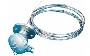 多點鎧裝熱電阻